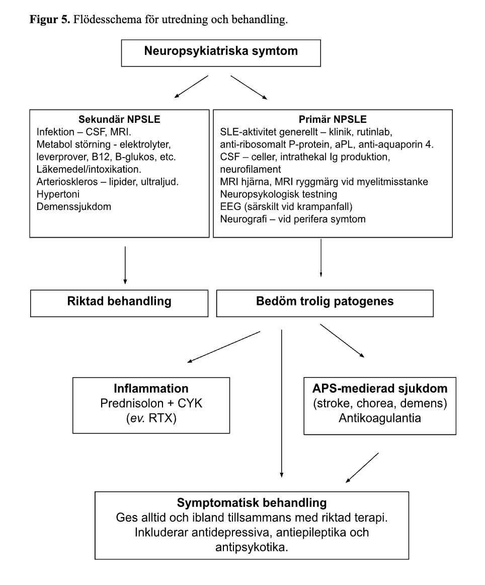 Riktlinjer för behandling av systemisk lupus erytematosus (SLE)